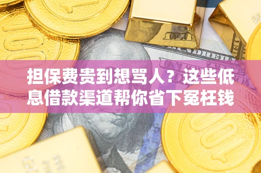 济南担保费贵到想骂人？这些低息借款渠道帮你省下冤枉钱