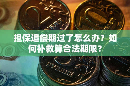 济南担保追偿期过了怎么办？如何补救算合法期限？