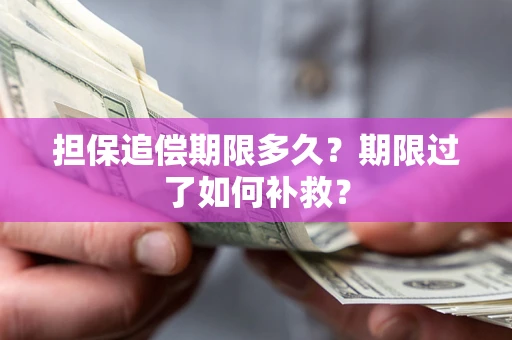 济南担保追偿期限多久？期限过了如何补救？