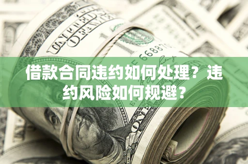 济南借款合同违约如何处理？违约风险如何规避？