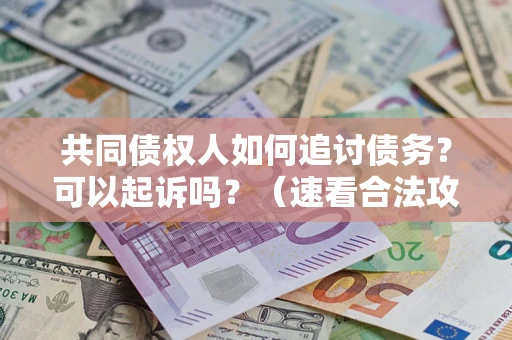 济南共同债权人如何追讨债务？可以起诉吗？（速看合法攻略）